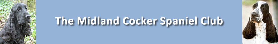 Parti-Coloured Cocker Spaniel Club